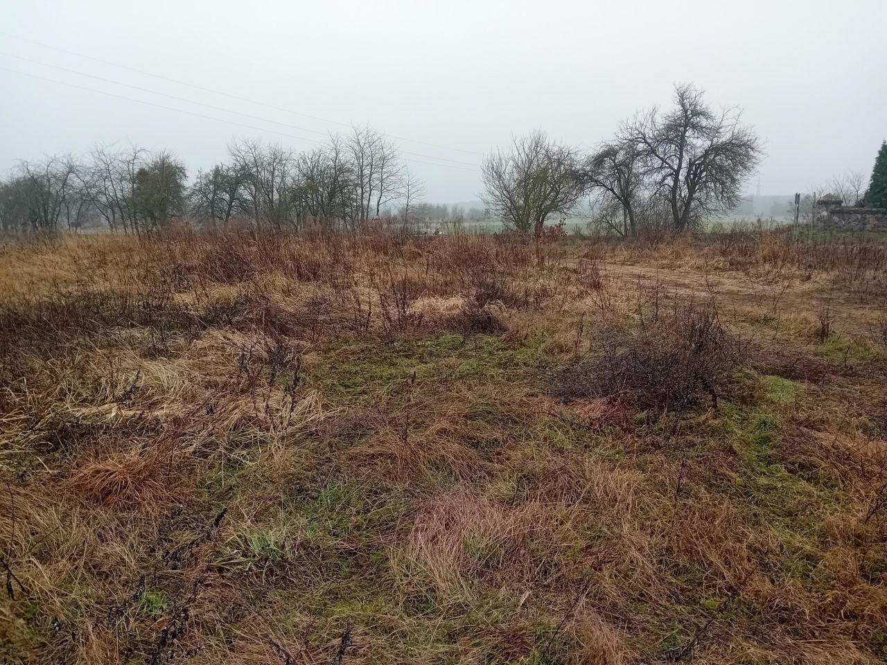 Działka budowlana Binowo. Zdjęcie 16