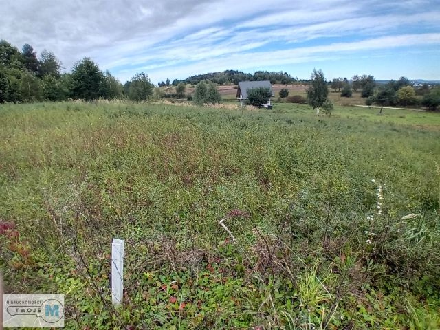Działka budowlana Wola Morawicka. Zdjęcie 2