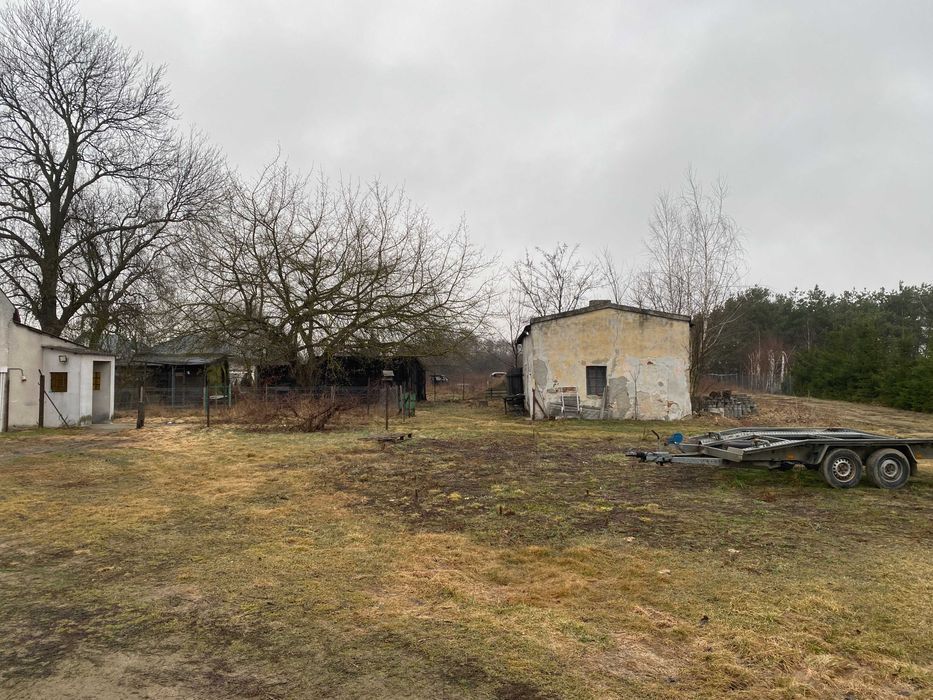 bliźniak Chodecz. Zdjęcie 3