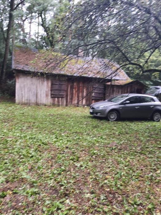 Działka siedliskowa Ludwinowo. Zdjęcie 3