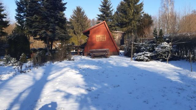 Działka rekreacyjna Rypin, ul. Spokojna. Zdjęcie 1