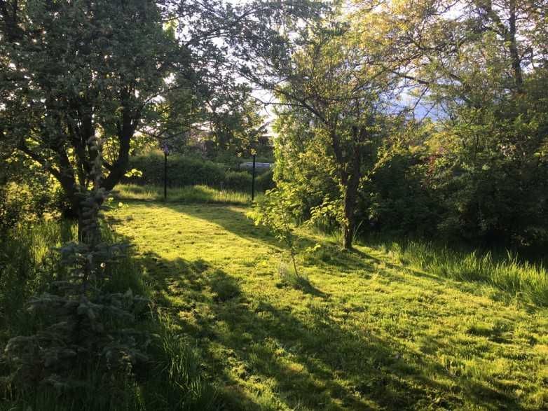 Działka rekreacyjna Kraków Bronowice Małe, ul. mjr. Łupaszki