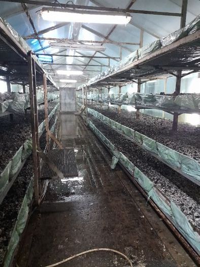 Hala/magazyn Niwiski. Zdjęcie 7