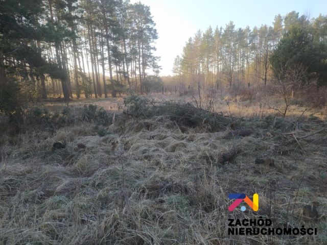 Działka budowlana Radomia. Zdjęcie 2