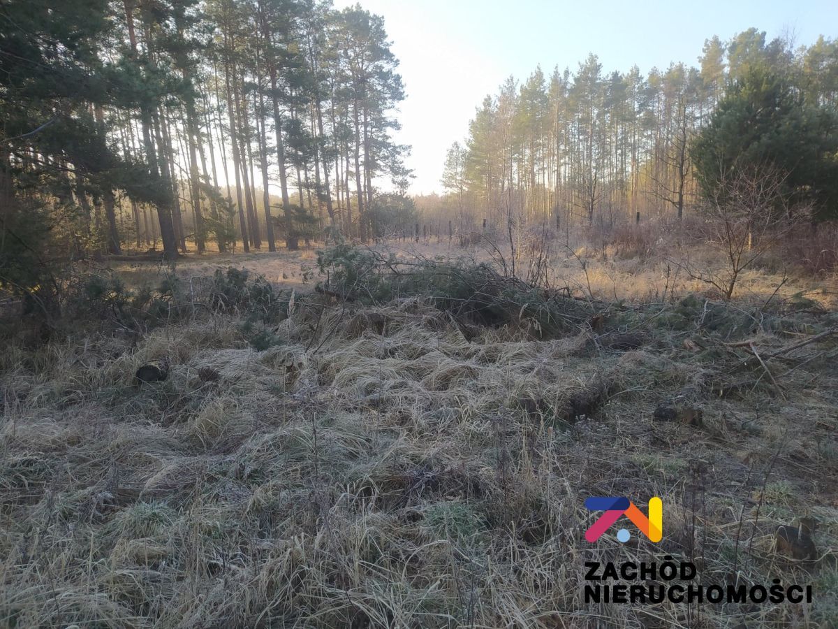 Działka budowlana Radomia. Zdjęcie 2