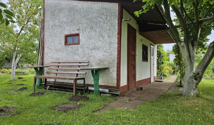 Działka rod Wołów, ul. Spacerowa