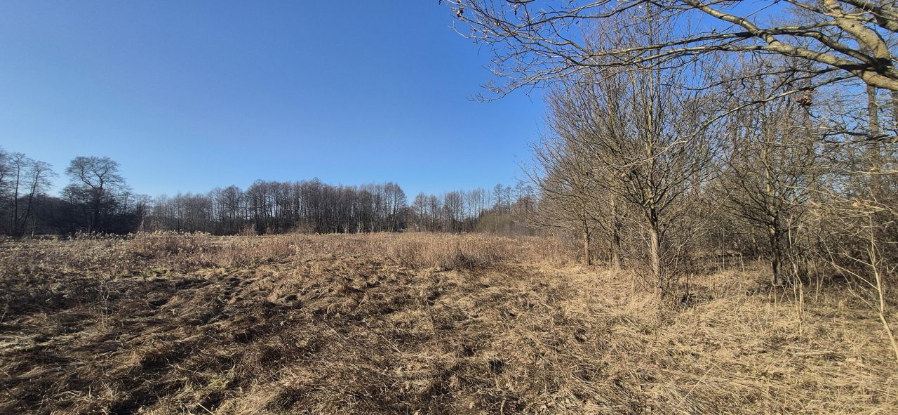 Działka rolna Secymin Polski. Zdjęcie 5