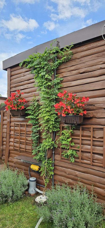 Działka rod Sosnowiec Niwka, ul. Portowa. Zdjęcie 10