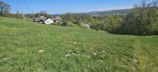 Działka rolna Winiary. Zdjęcie 1