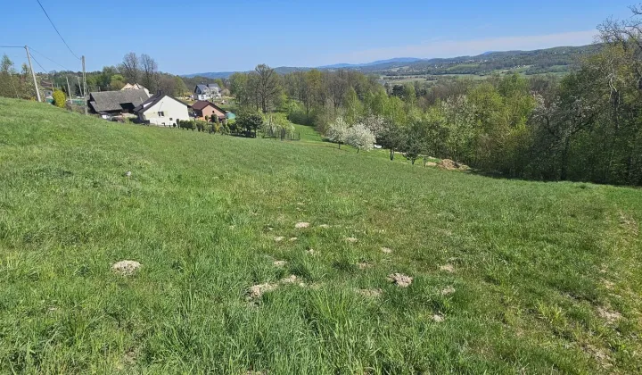 Działka rolna Winiary