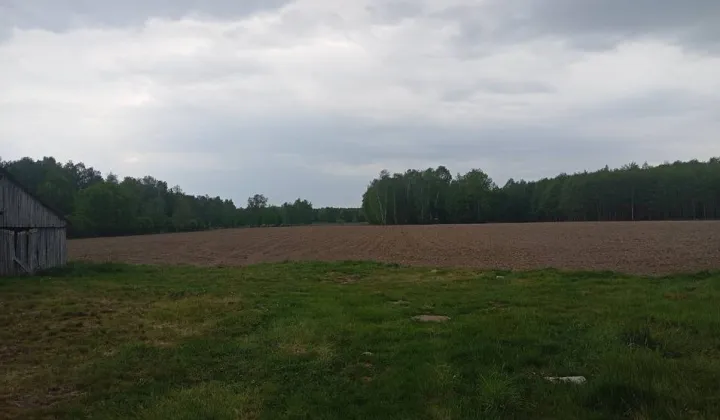 Działka siedliskowa Orzechów-Kolonia