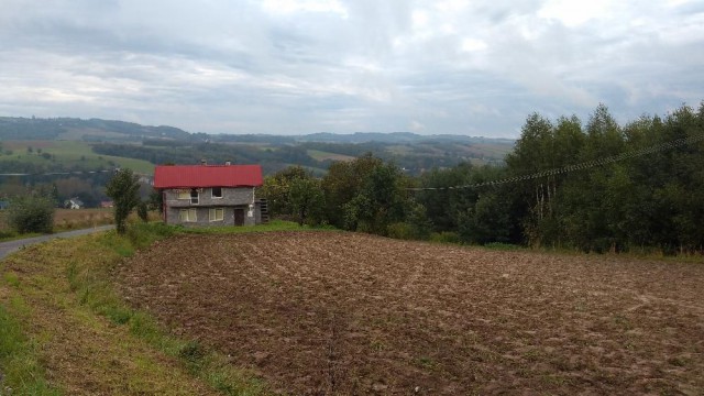 Działka rolno-budowlana Kowalowa. Zdjęcie 1