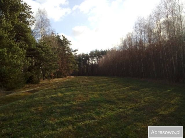 Działka rekreacyjna Olszewnica. Zdjęcie 1