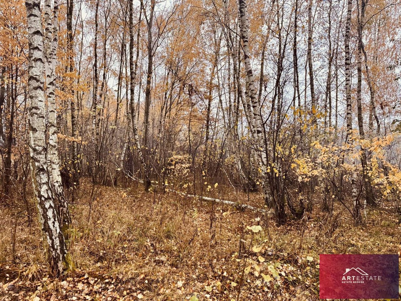 Działka budowlana Słowak. Zdjęcie 2