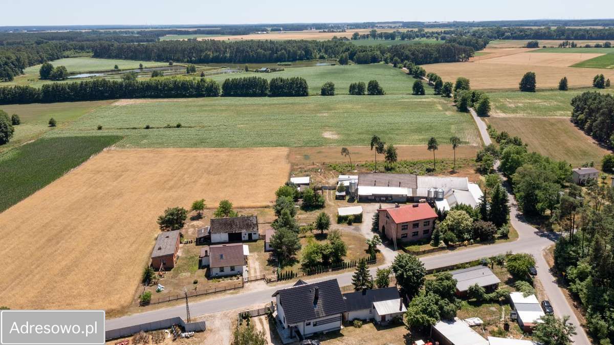 gospodarstwo, 9 pokoi Torzeniec. Zdjęcie 2