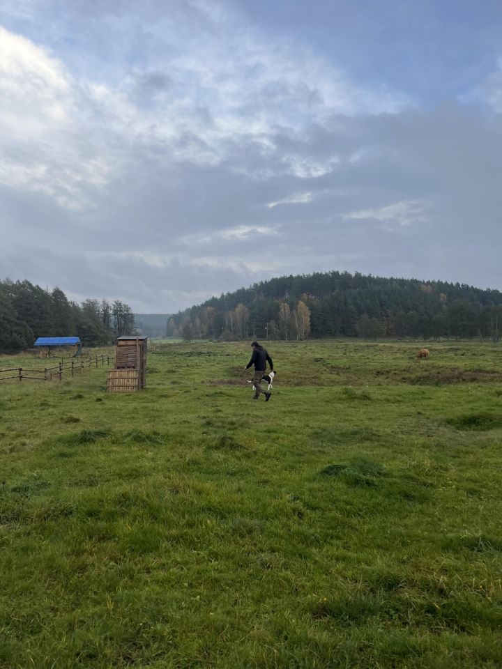 Działka rolna Otnoga Dęby. Zdjęcie 3