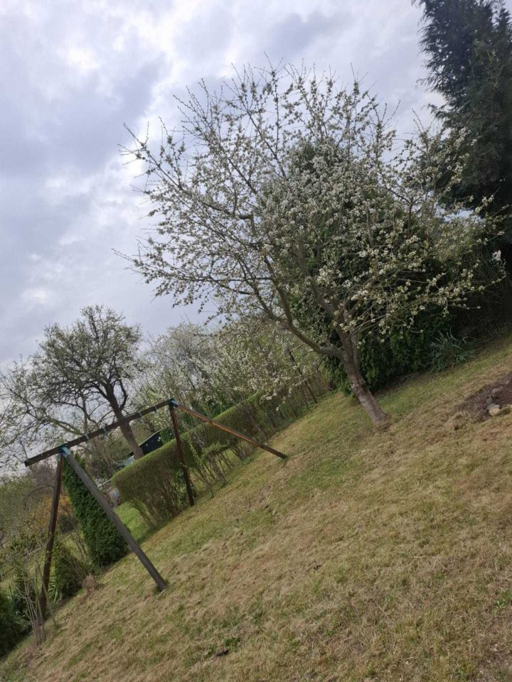 Działka rod Legnica, ul. Chojnowska. Zdjęcie 4