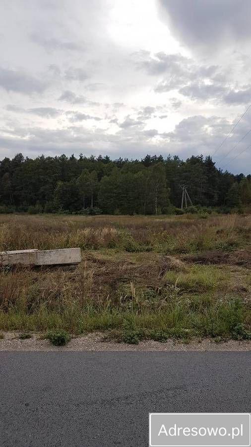 Działka rolna Czostków. Zdjęcie 6