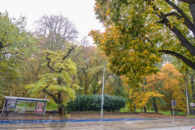 Mieszkanie 4-pokojowe Szczecin Śródmieście, ul. Jacka Malczewskiego. Zdjęcie 21