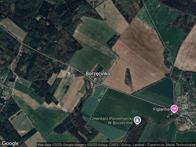 Działka budowlana Borzęcinko. Zdjęcie 1