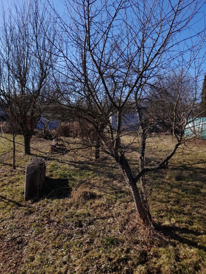 Działka rod Ostrowiec Świętokrzyski Ludwików, ul. Partyzantów. Zdjęcie 3