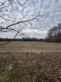 Działka rolna Rogowo-Kolonia. Zdjęcie 4