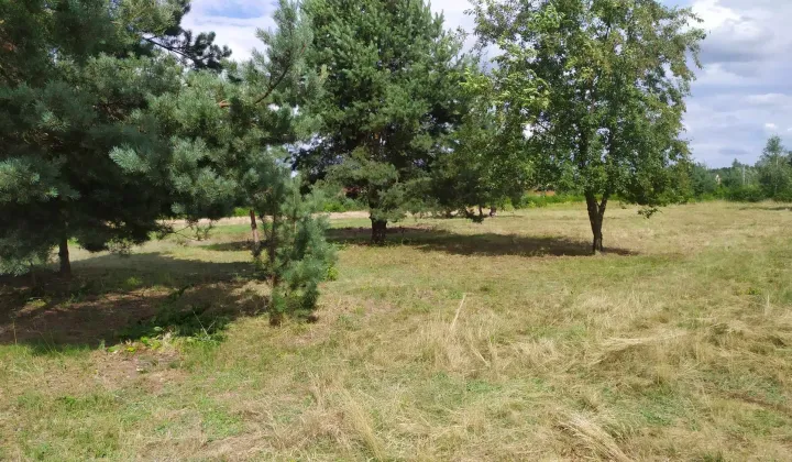 Działka rolna Jadachy Hermanówka