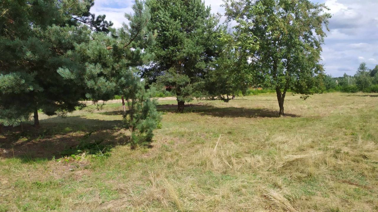 Działka rolna Jadachy Hermanówka