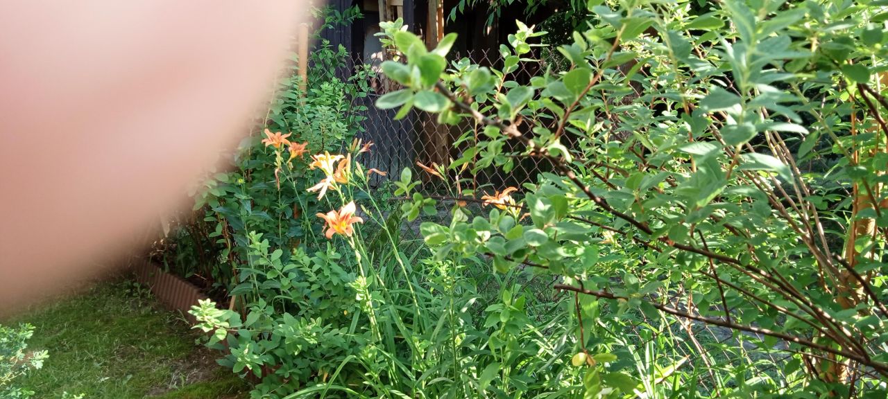 Działka budowlana Kaletnik, ul. Kościelna. Zdjęcie 9