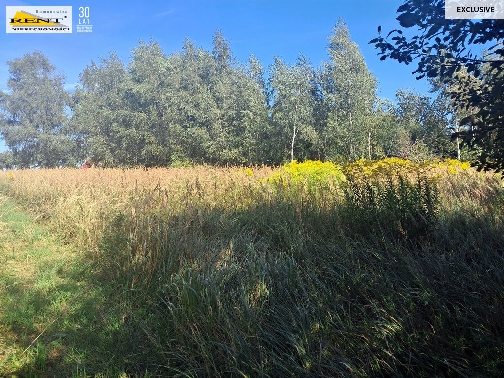 Działka siedliskowa Parlino. Zdjęcie 4