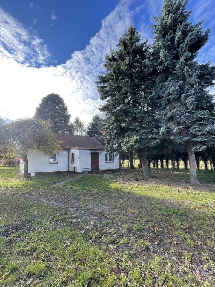 Działka budowlana Turowola. Zdjęcie 8