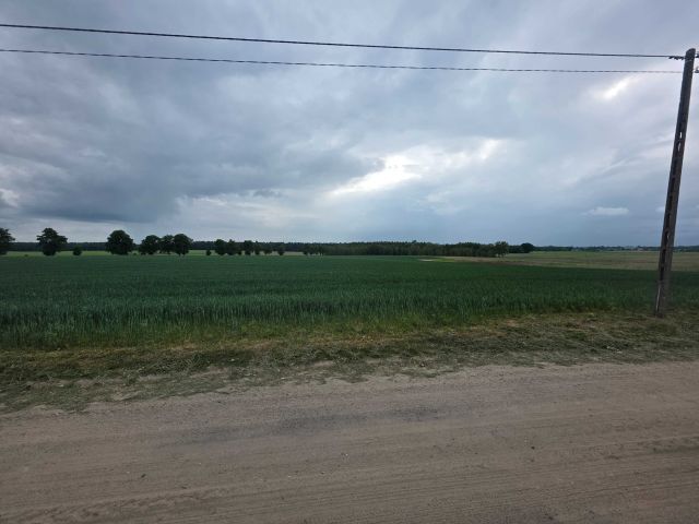 Działka rolno-budowlana Grabowiec. Zdjęcie 1
