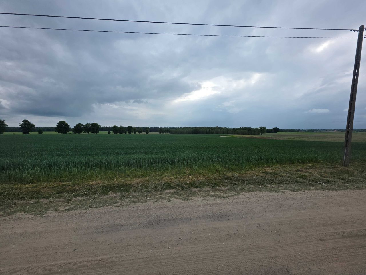 Działka rolno-budowlana Grabowiec. Zdjęcie 1