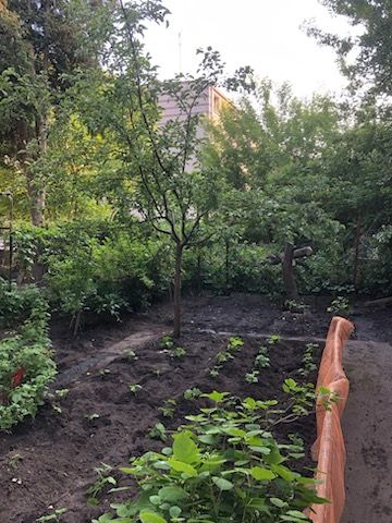 dom wolnostojący, 4 pokoje Ełk Centrum, ul. Gdańska. Zdjęcie 7