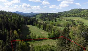 Działka budowlana Orłowiec