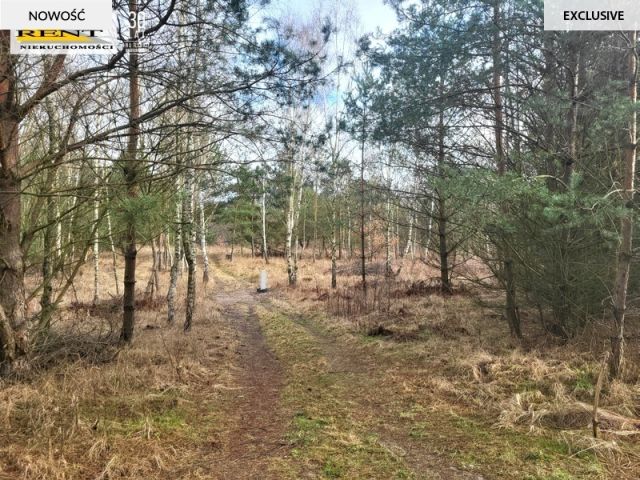 Działka rekreacyjna Chłopowo. Zdjęcie 5