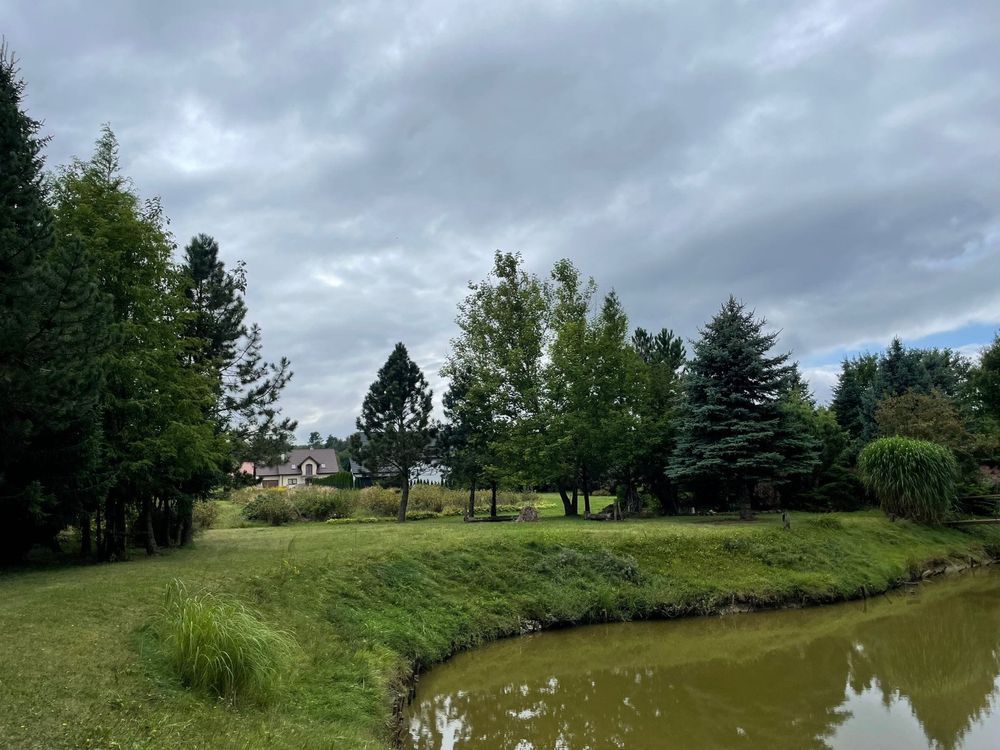 Działka inwestycyjna Skiby. Zdjęcie 8