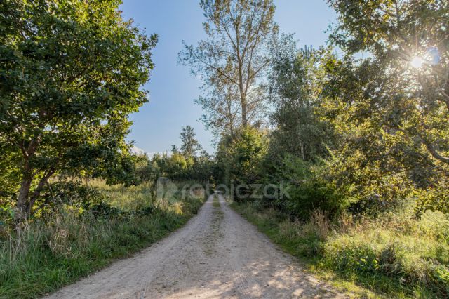 Działka rekreacyjna Choczewo, ul. Jeziorna. Zdjęcie 8