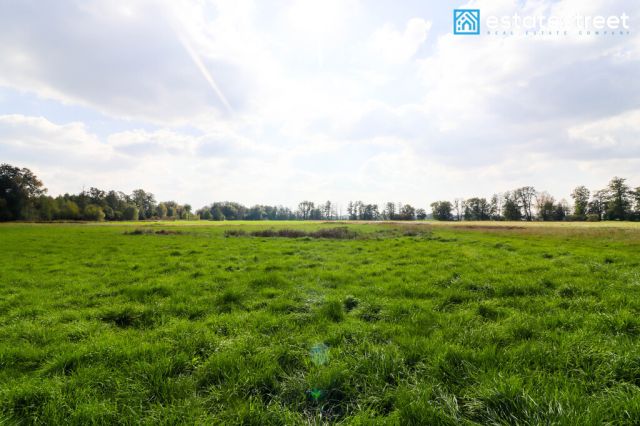 Działka budowlana Cholerzyn. Zdjęcie 5