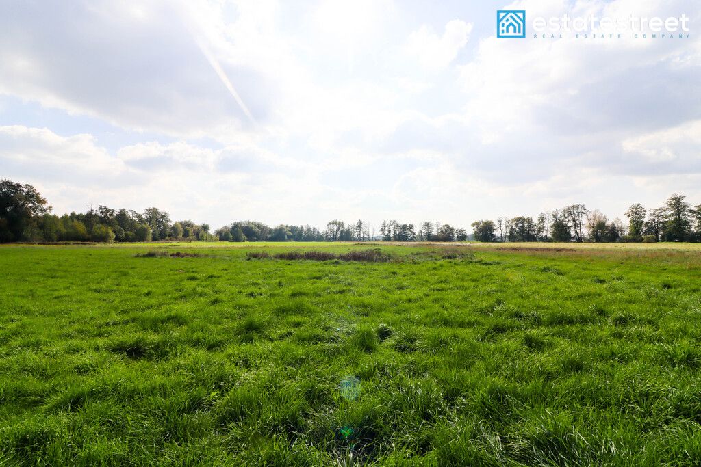 Działka budowlana Cholerzyn. Zdjęcie 5