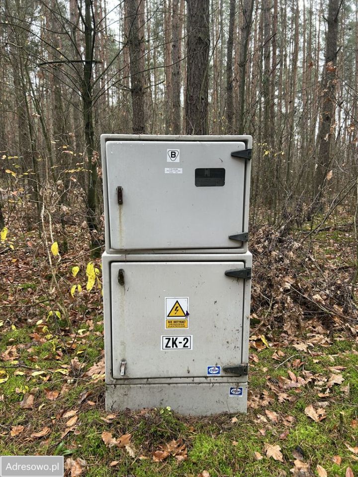 Działka leśna Adamów-Wieś, ul. Kaliny. Zdjęcie 6