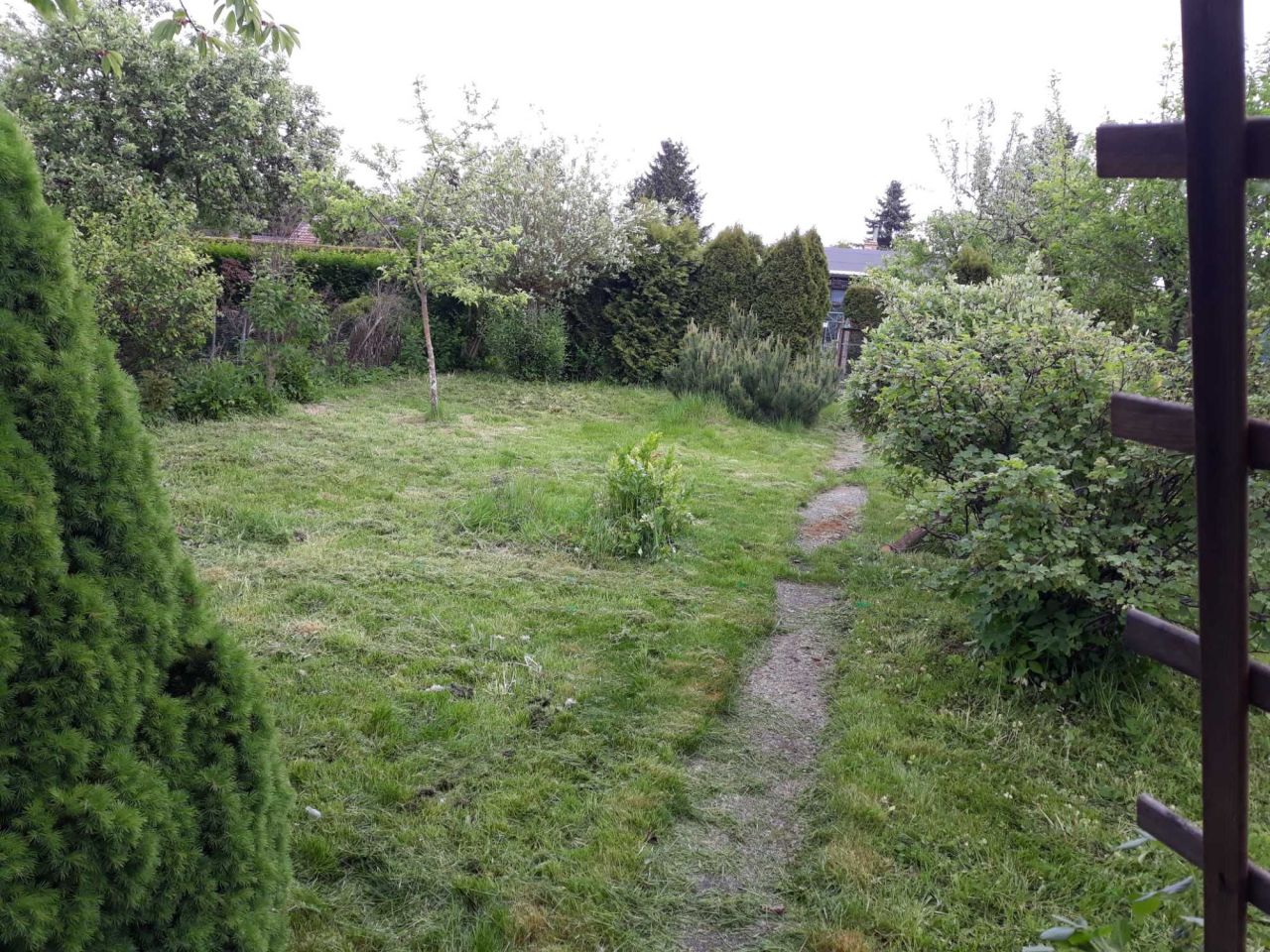 Działka rod Szczecin Krzekowo. Zdjęcie 3