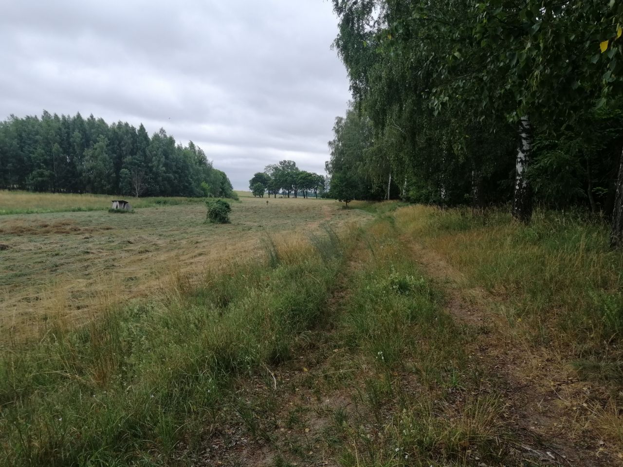 Działka rekreacyjna Szymonka. Zdjęcie 8
