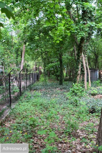 Działka budowlana Podkowa Leśna, ul. Wiewiórek. Zdjęcie 3