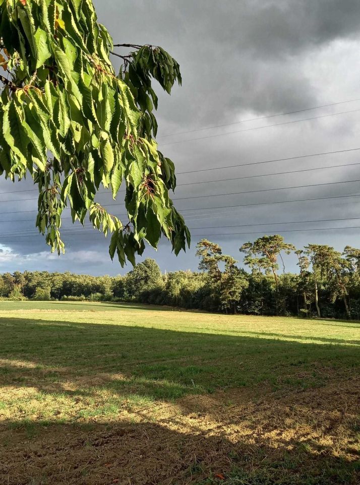 Działka rolno-budowlana Kurnatowice Zawada. Zdjęcie 3
