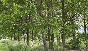 Działka rolna Popów