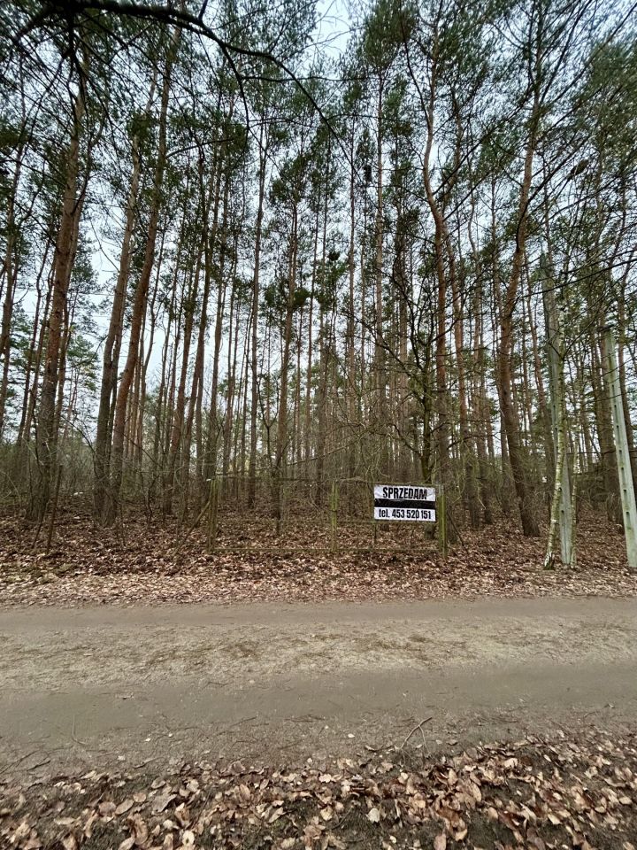 Działka leśna Legionowo, ul. Dębowa. Zdjęcie 4