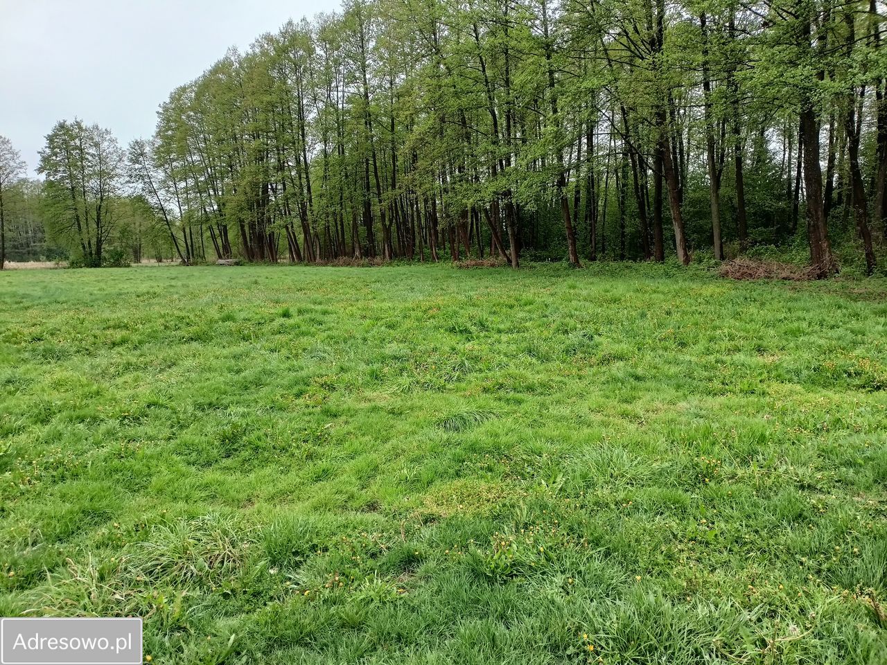 Działka rolna Popiołki. Zdjęcie 11