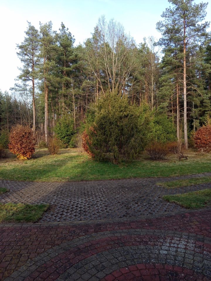 dom wolnostojący, 4 pokoje Płozy. Zdjęcie 8