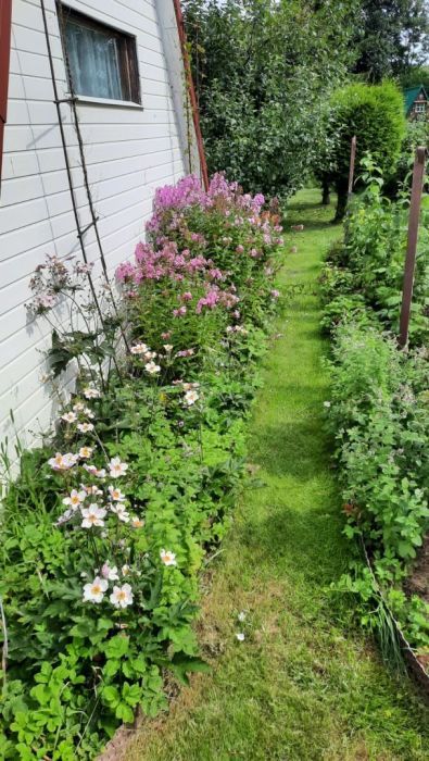 Działka rod Gdańsk Oliwa. Zdjęcie 12